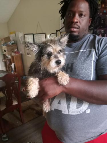 Lost Unknown Dog last seen Marbut, Lithonia, GA 30058