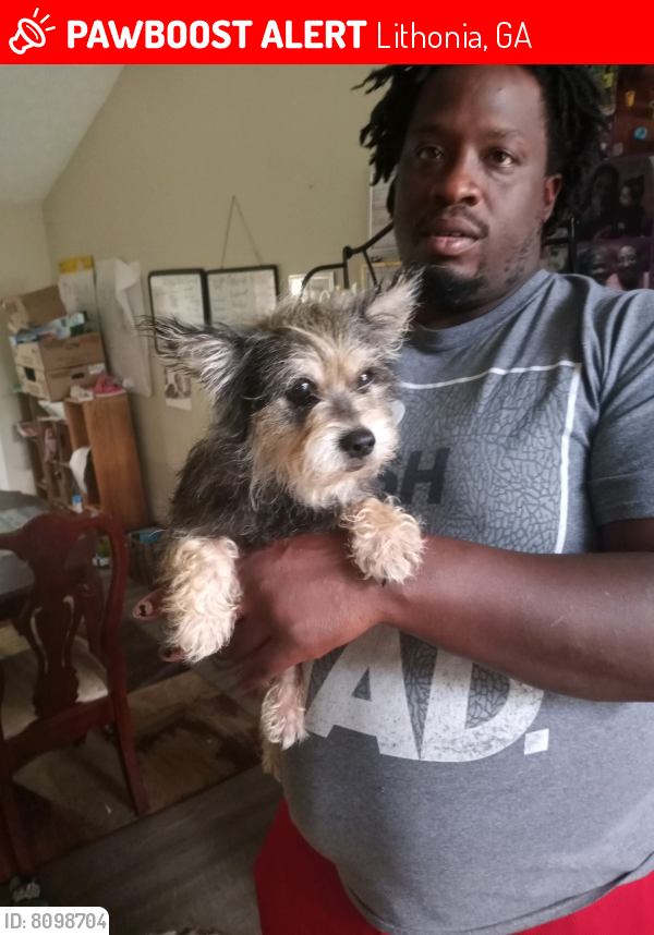 Lost Unknown Dog last seen Marbut, Lithonia, GA 30058