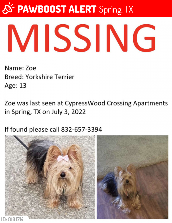 Lost Female Dog last seen Cypresswood Dr, Spring, TX 77388