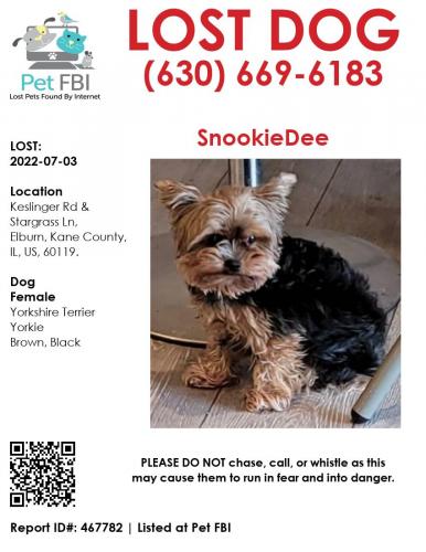 Lost Female Dog last seen 42W591 Meadowsweet Dr Elburn Illinois 60119, Elburn, IL 60119