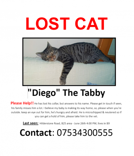 Lost Male Cat last seen Birmingham B25 , West Midlands, England B25 8LA