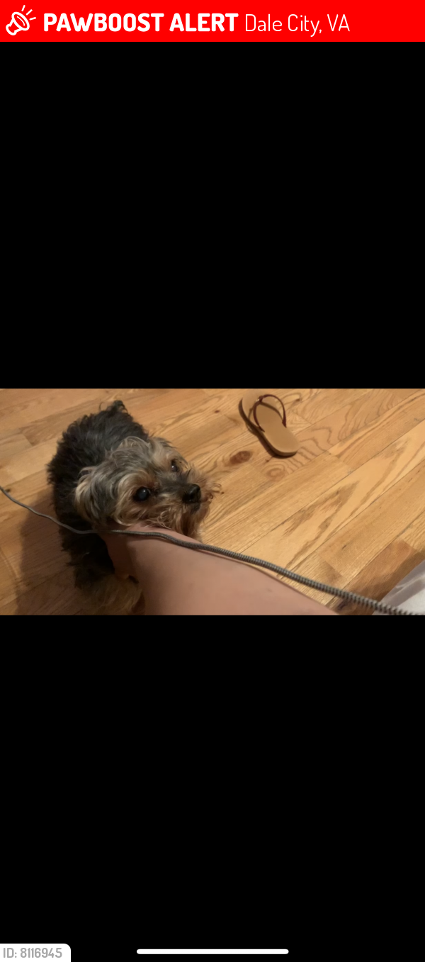 Lost Female Dog last seen KERRYDALE RD Woodbridge , Dale City, VA 22193