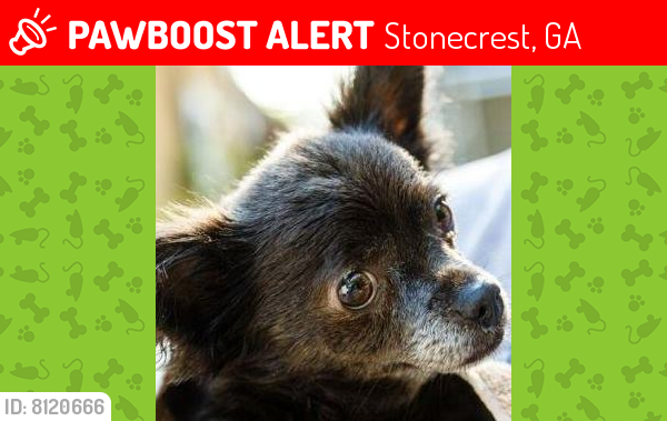 Lost Female Dog last seen Panola Valley near Panola Rd and Brownsmill Rd, Stonecrest, GA 30038