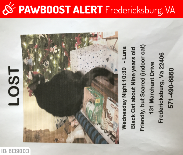 Lost Female Cat last seen Richland rd, hartwood rd, Fredericksburg, VA 22406