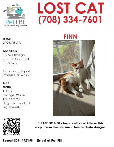 Lost Male Cat last seen US 30 and Route 30 in Oswego, IL. , Oswego, IL 60543