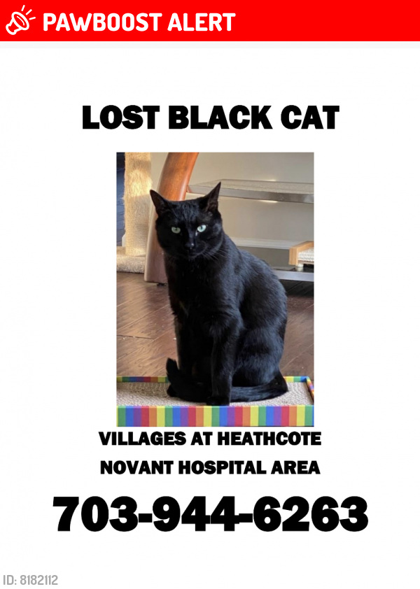 Lost Male Cat last seen Lupine Haven Dr/Rosemont Manor Dr, Heathcote Blvd/Novant hosp, Prince William County, VA 20169