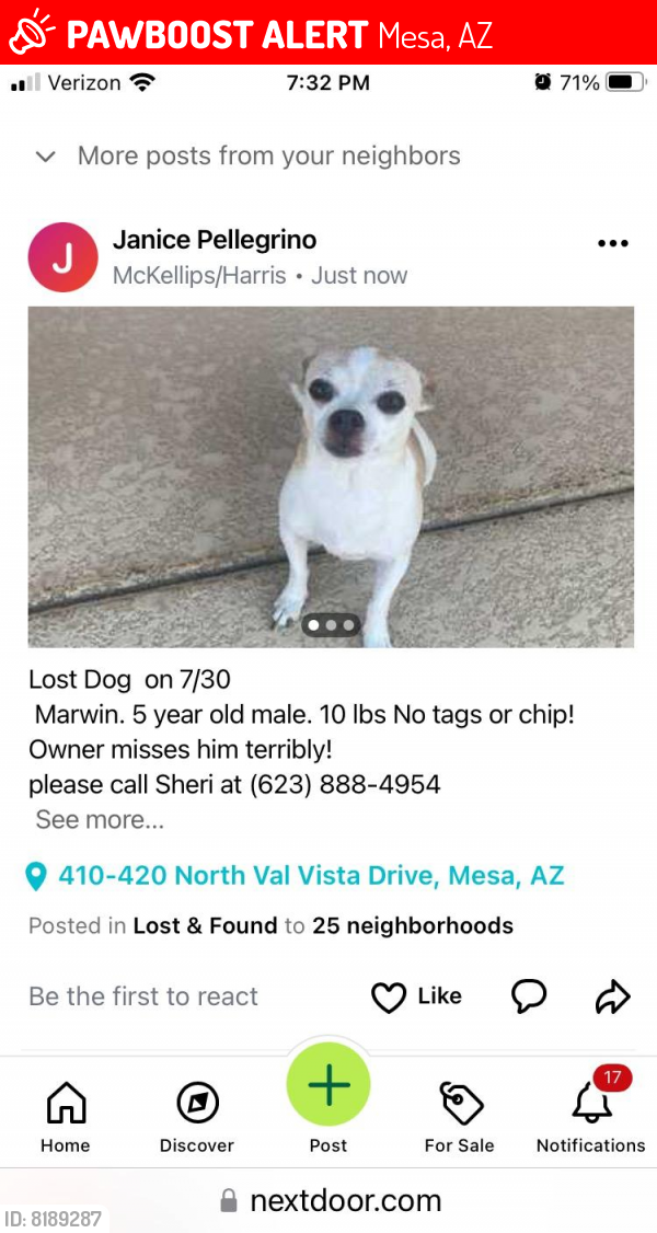 Lost Male Dog last seen Val Vista and University , Mesa, AZ 85205