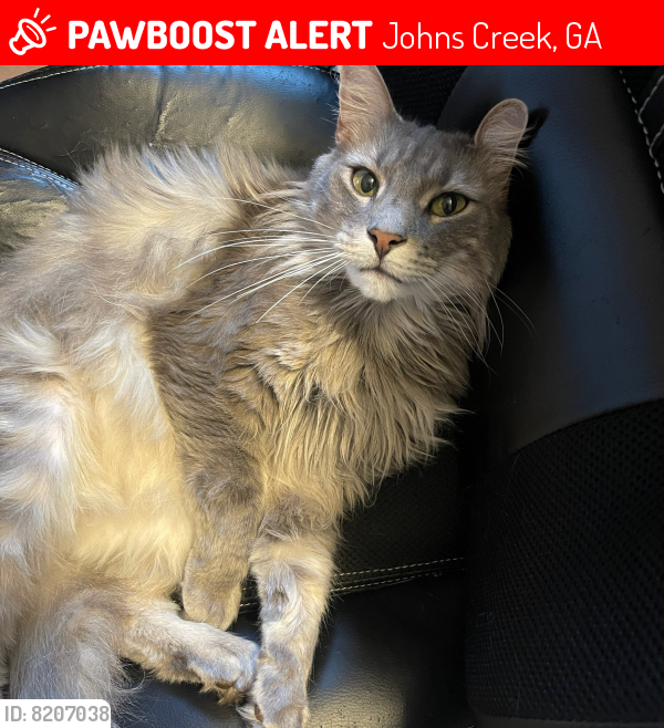 Lost Male Cat last seen Abbotts Pond Subdivision, Johns Creek, GA 30022