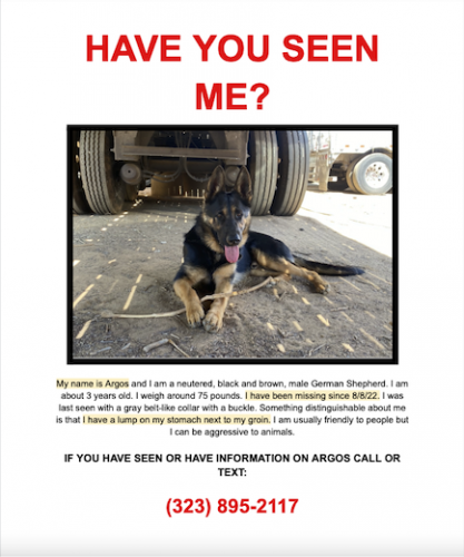 Lost Male Dog last seen Haines and Oleander, Perris, CA 92570