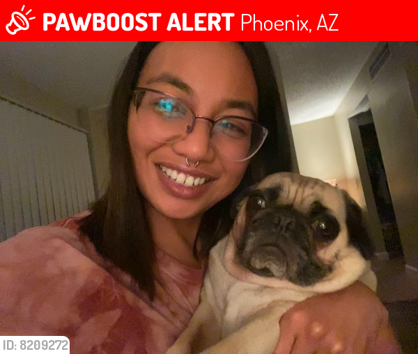 Lost Female Dog last seen Near N 17th Ave, Phoenix, AZ 85015 Aspire apmts Bethany  and 17th Ave , Phoenix, AZ 85015