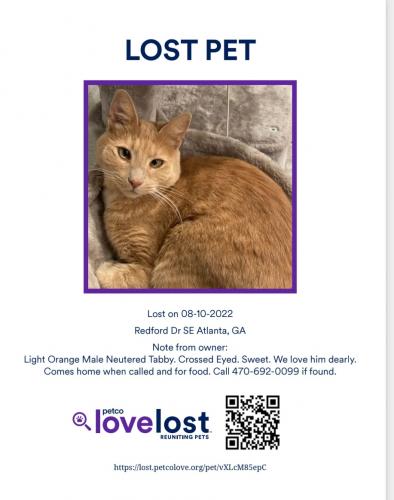 Lost Male Cat last seen Redford Dr and Jonesboro Rd 30315, Atlanta, GA 30315