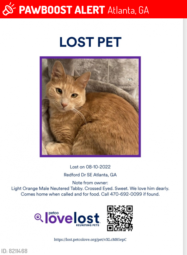 Lost Male Cat last seen Redford Dr and Jonesboro Rd 30315, Atlanta, GA 30315