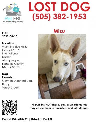 Lost Female Dog last seen Central and Wyoming , Albuquerque, NM 87123