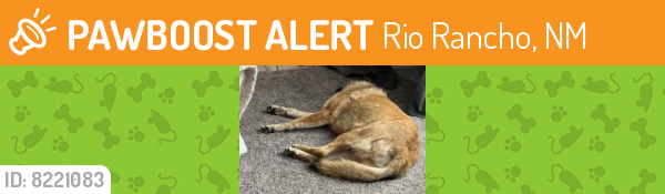 Found/Stray Female Dog last seen  may circle southeast 33000, Rio Rancho, NM 87124