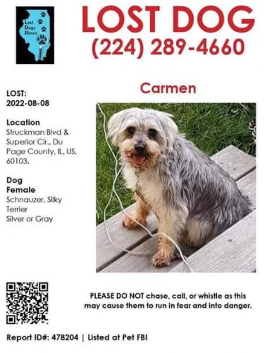 Lost Female Dog last seen Struckman Blvd. And Superior Circle, Bartlett, IL 60103