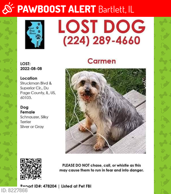 Lost Female Dog last seen Struckman Blvd. And Superior Circle, Bartlett, IL 60103