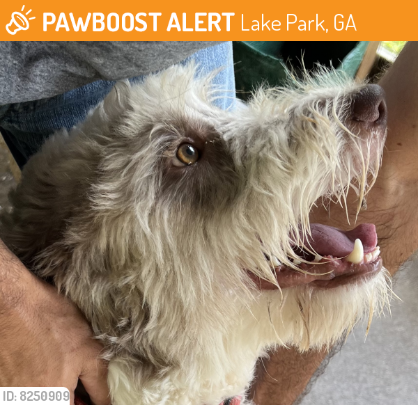 Found/Stray Male Dog last seen Lake Park , Lake Park, GA 31636
