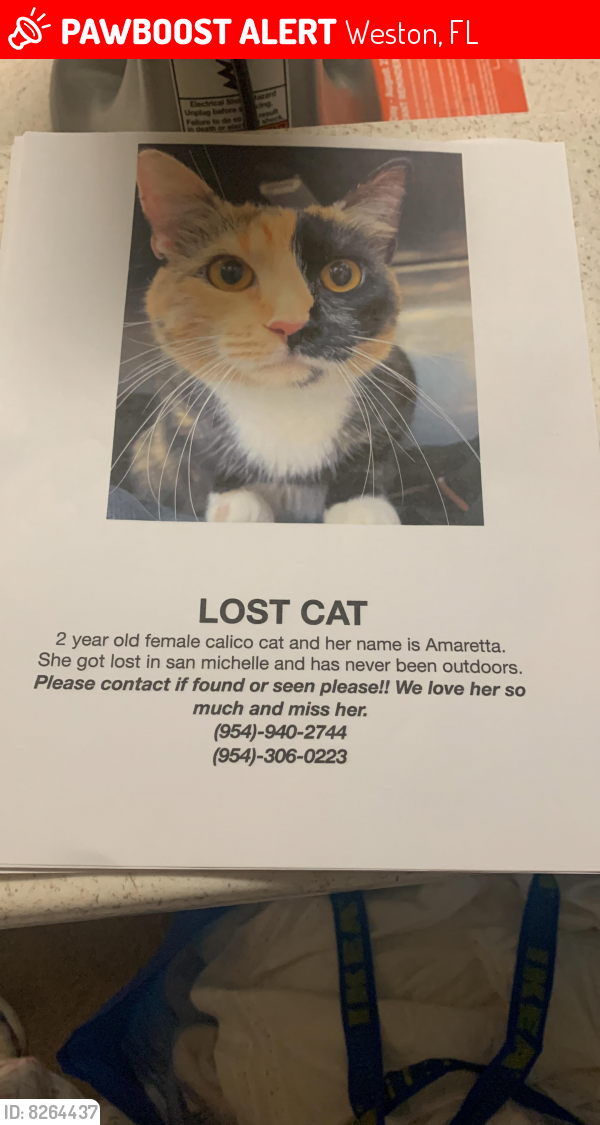 Lost Female Cat last seen In san michele at weston, Bonaventure Blvd entrance, Weston, FL 33326