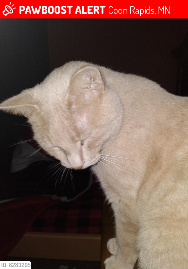 Lost Male Cat last seen Thrush St NW, Hoover School Park, Coon Rapids, MN 55433