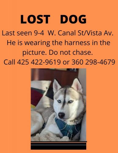 Lost Male Dog last seen Near west c st, Boise, ID 83705