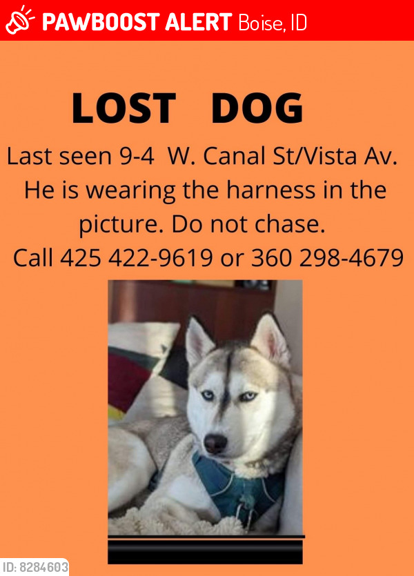 Lost Male Dog last seen Near west c st, Boise, ID 83705