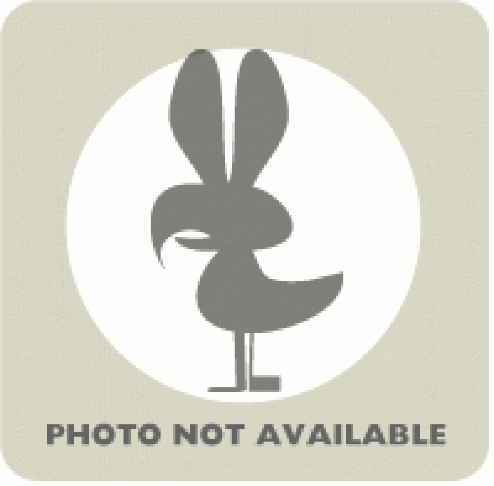 Shelter Stray Unknown Parakeet (budgie) last seen Hybla Valley, VA 22306, Fairfax, VA 22032