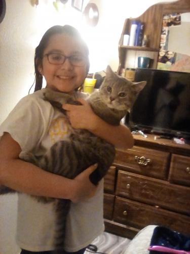 Lost Male Cat last seen Cherry and Tramview, Rio Rancho, NM 87144