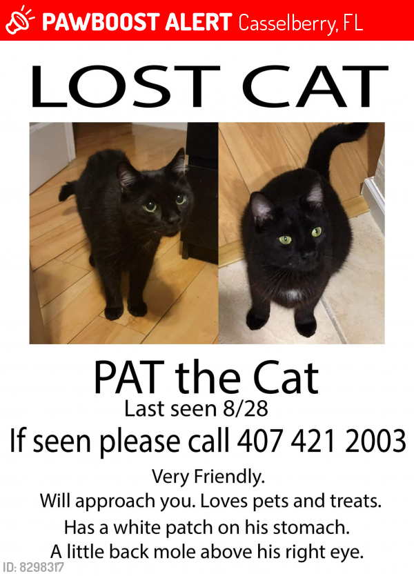 Lost Male Cat last seen Red Bug and Dodd, Casselberry, FL 32750