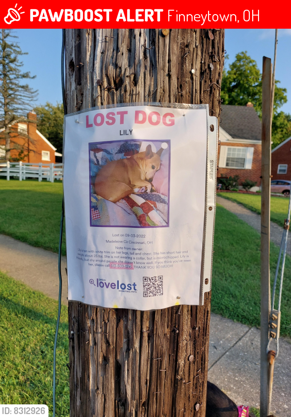 Lost Female Dog last seen Madeleine circle, Finneytown, OH 45231