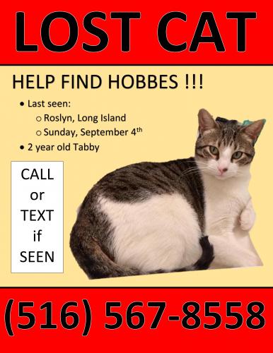 Lost Male Cat last seen Roslyn, NY, Roslyn, NY 11576