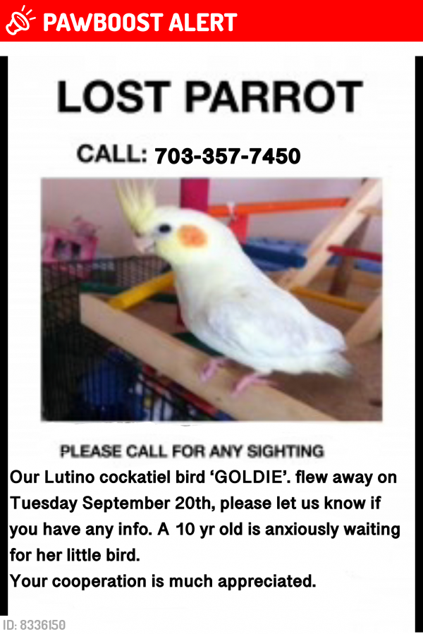 Lost Unknown Bird last seen Oak Valley Dr, Woodbridge VA   22191, Prince William County, VA 22191