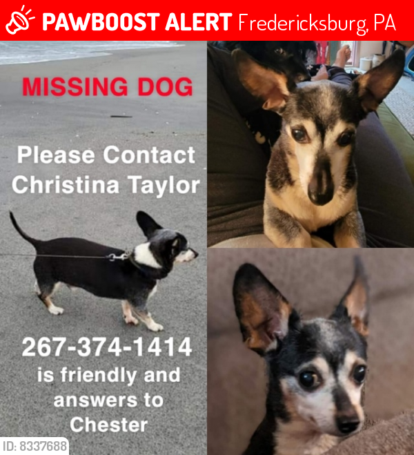 Lost Male Dog last seen Camp Central Baptist Association, Fredericksburg, PA 17026