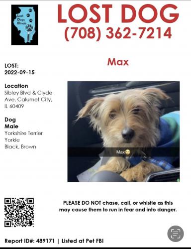 Lost Male Dog last seen Calumet City , Calumet City, IL 60409