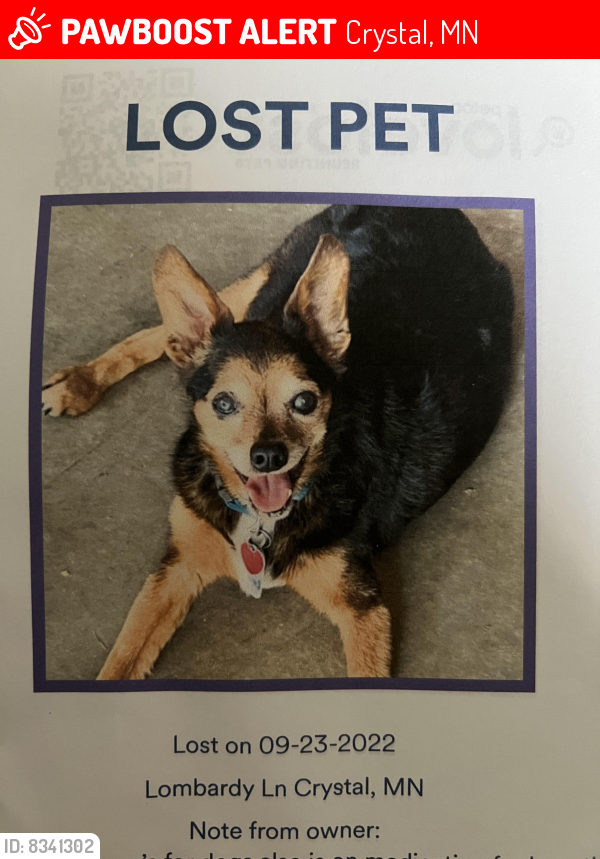 Deceased Male Dog last seen Lakeland & Lombardy Lane , Crystal, MN 55428