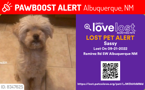 Lost Female Dog last seen ATRISCO AND ARENAL , Albuquerque, NM 87105