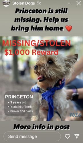 Lost Male Dog last seen Paws Atlanta, on Covington Hwy, Decatur, GA 30035