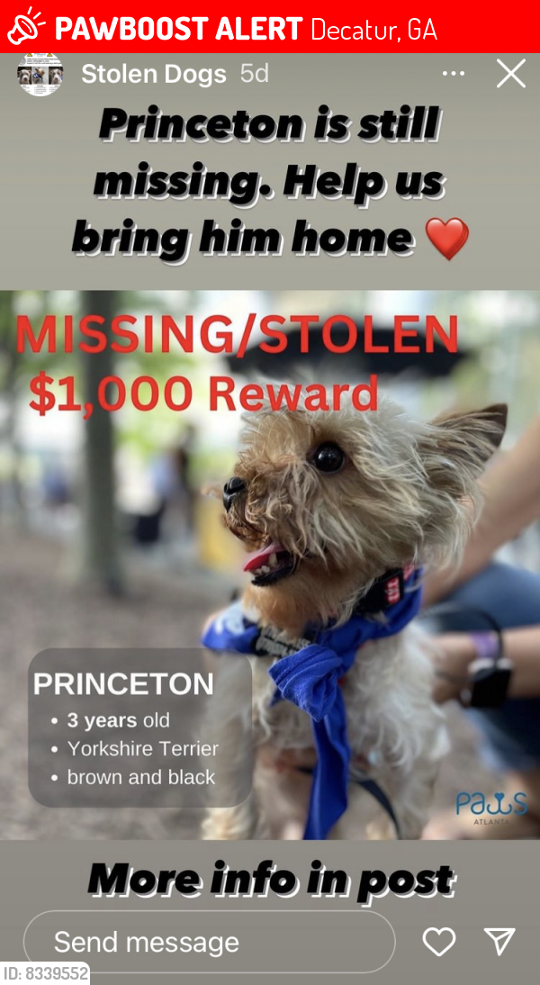 Lost Male Dog last seen Paws Atlanta, on Covington Hwy, Decatur, GA 30035