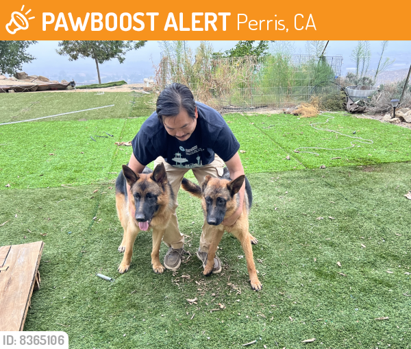 Rehomed Unknown Dog last seen Gavilan and Cajalco, Perris, CA 92570