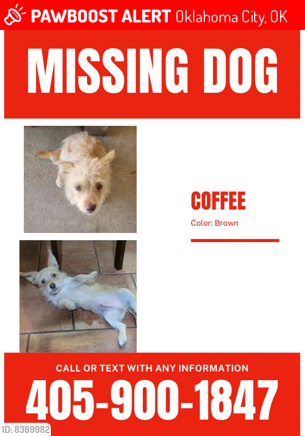Lost Male Dog last seen Wualmat , Oklahoma City, OK 73159