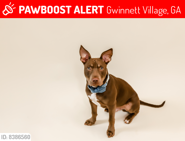 Lost Male Dog last seen Button Gwinnett Dr and Best Friend Rd in Doraville-Norcross area, Gwinnett Village, GA 30340