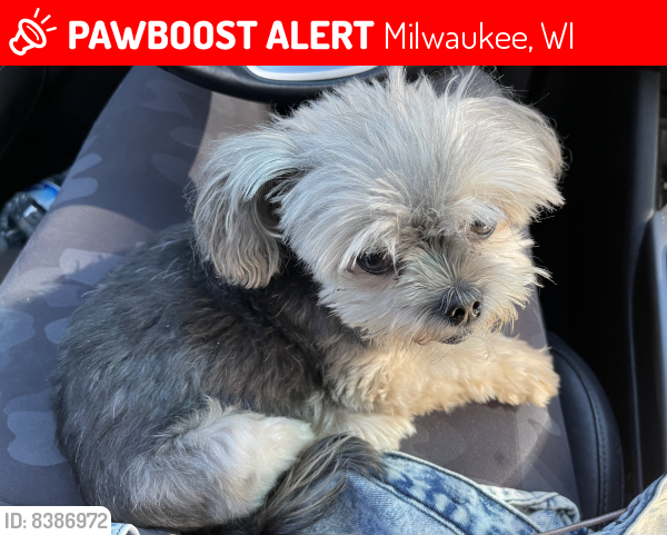 Lost Female Dog last seen Sherman Blvd, Center, Grant, Milwaukee, WI 53210