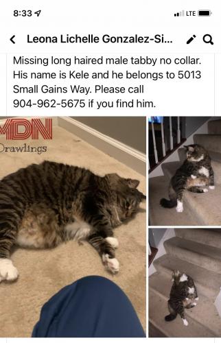 Lost Male Cat last seen Near small gains way, Frederick, MD 21703
