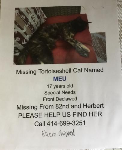 Lost Female Cat last seen Near th grantosa drive , Milwaukee, WI 53218