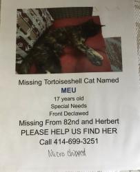 Lost Female Cat last seen Near th grantosa drive , Milwaukee, WI 53218