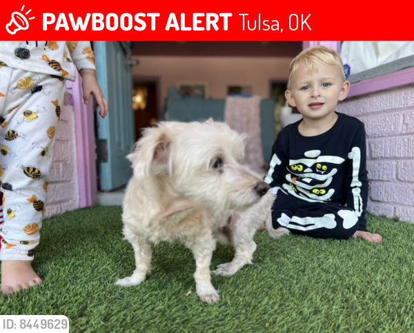 Lost Female Dog last seen 23rd & delaware, Tulsa, OK 74114