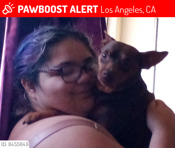 Lost Male Dog last seen Grabdavista, Los Angeles, CA 90023