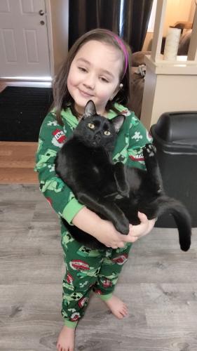 Lost Male Cat last seen Morningside drive and warm springs connector , Columbus, GA 31909