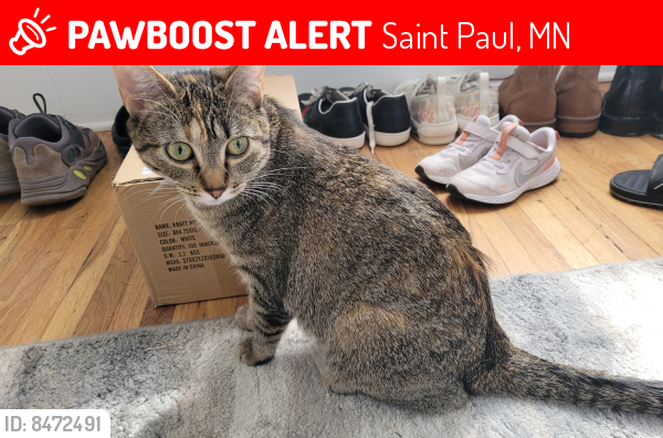 Lost Female Cat last seen Ruth St and Nortonia Ave, Saint Paul, MN 55119
