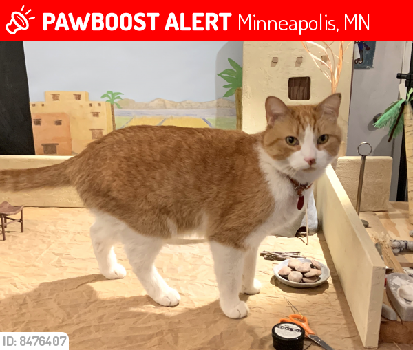 Lost Male Cat last seen Near Aldrich Ave S, Minneapolis 55409, Minneapolis, MN 55409