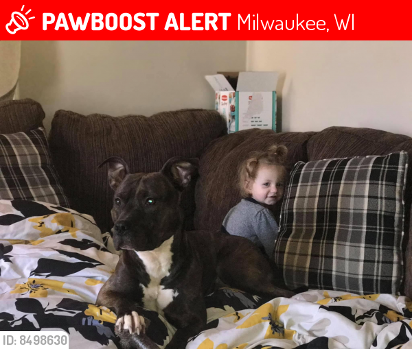 Lost Male Dog last seen Fair mount and n 51st Blvd , Milwaukee, WI 53218